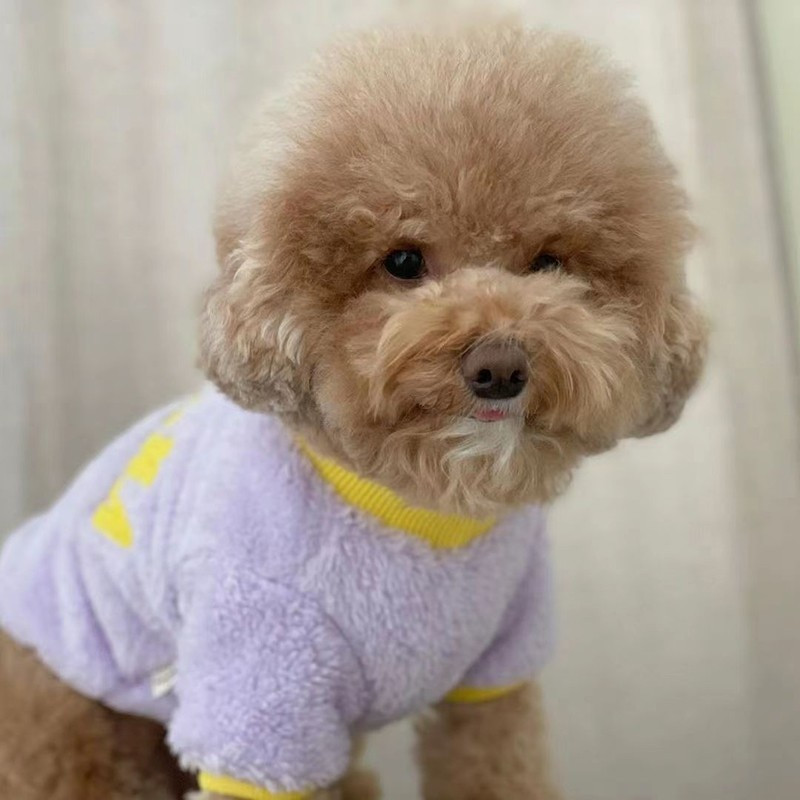 Haine drăguță de iarnă pentru câini Polar fleece din bumbac cald pentru câini pentru cățeluși câini mici și mijlocii hanorac jachetă Chihuahua Yorkshire