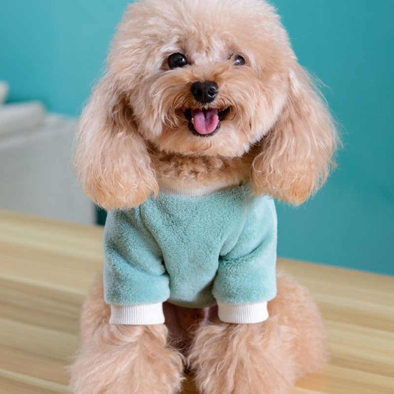 Talvine fliisist lemmikloomavest Lillepesa koerariided armas soe kassimantel Korea stiilis lemmikloomatarbed pehme universaalne 2021 uus kvaliteetne