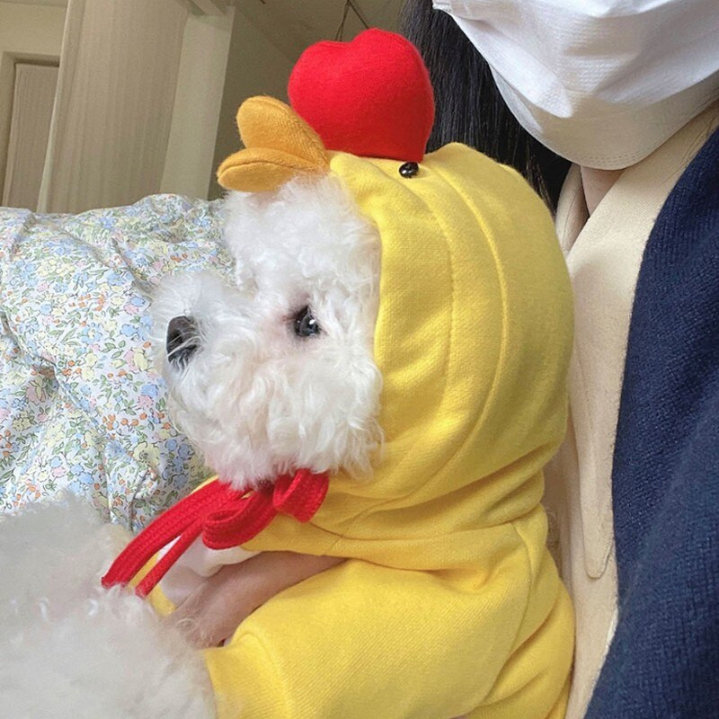 În formă de rață, pentru câini de companie, hanorace pentru iarnă, haine calde din lână pentru câini, drăguț cățeluș chihuahua pentru câini de talie mică, mijlocie, îmbrăcăminte, costum Perro