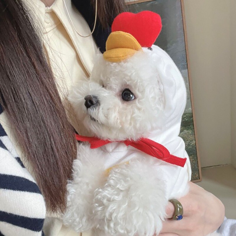 În formă de rață, pentru câini de companie, hanorace pentru iarnă, haine calde din lână pentru câini, drăguț cățeluș chihuahua pentru câini de talie mică, mijlocie, îmbrăcăminte, costum Perro