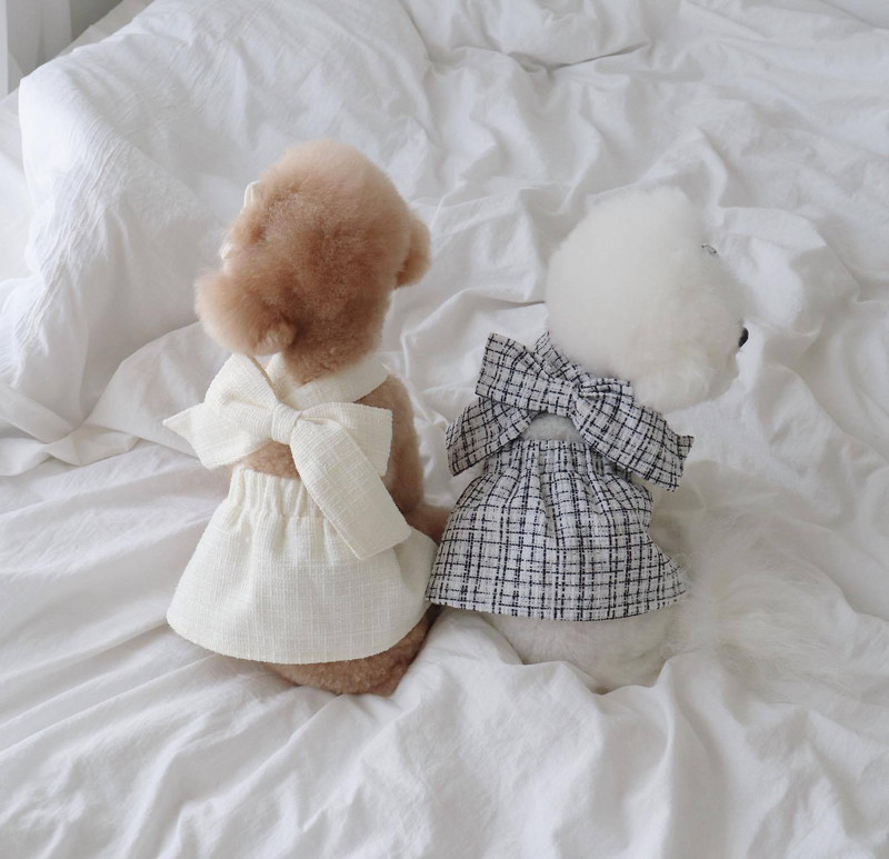 INS žieminė šunų suknelė madinga juoda ir balta stambi, pynimo lanko suknelė, katės apranga Vakarėlio apranga šunų suknelės, suteikiančios plaukų segtukus