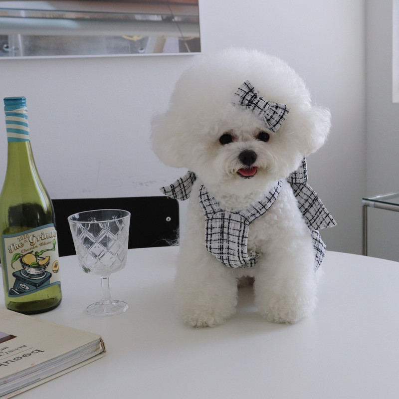 INS žieminė šunų suknelė madinga juoda ir balta stambi, pynimo lanko suknelė, katės apranga Vakarėlio apranga šunų suknelės, suteikiančios plaukų segtukus