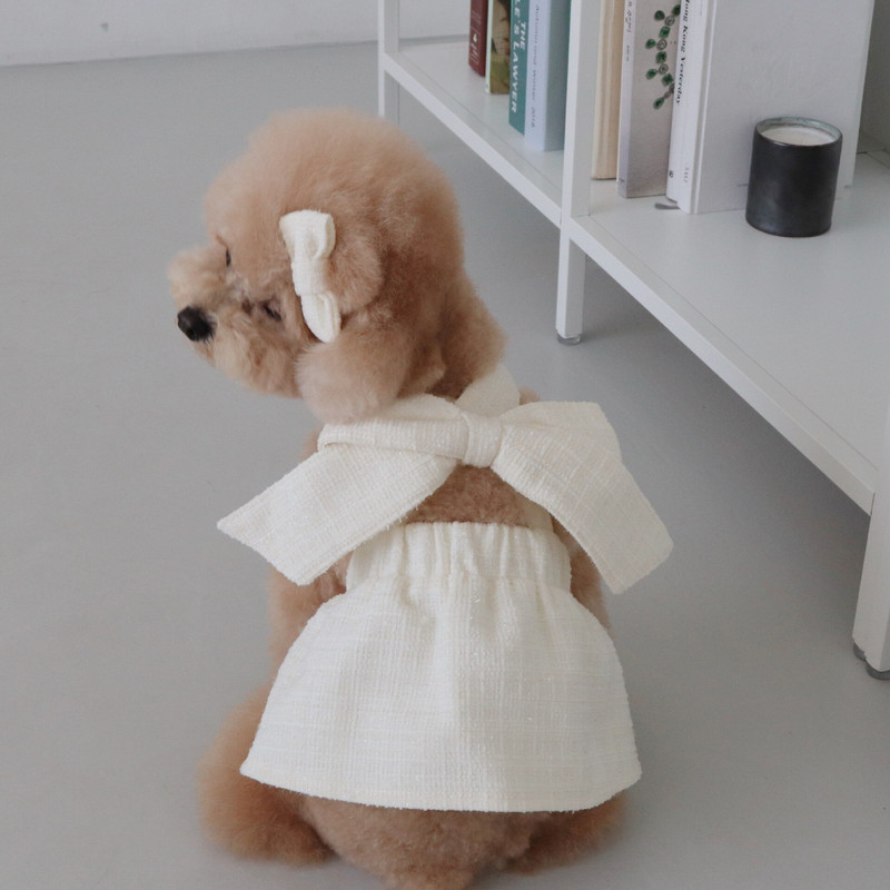 INS žieminė šunų suknelė madinga juoda ir balta stambi, pynimo lanko suknelė, katės apranga Vakarėlio apranga šunų suknelės, suteikiančios plaukų segtukus