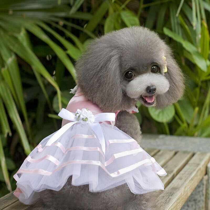 Jarné a letné pruhované princeznovské šaty s mašľou, sukne pre domáce zvieratá, oblečenie pre psov pre malé psy, dievčenské šaty, kostýmy pre šteniatka pre čivavu