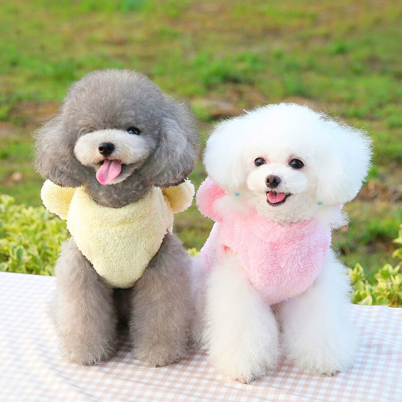 Animacinių filmų meškiukas šunų drabužiai mažiems šunims šilti vilnoniai šuniukai kačiuko paltai striukė treniruotė D žiedas katės šunys gobtuvas Čihuahua drabužiai