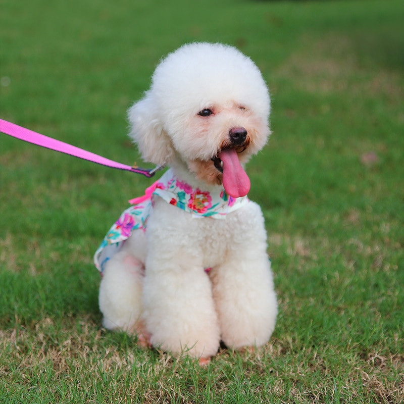 Sukňa pre šteniatka s mašľou, šaty pre psov a mačky, oblečenie pre psov, oblečenie pre domáce zvieratá, kvetinové vzory, bez rukávov, letné, viacfarebné, princezná, potreby pre domáce zvieratá