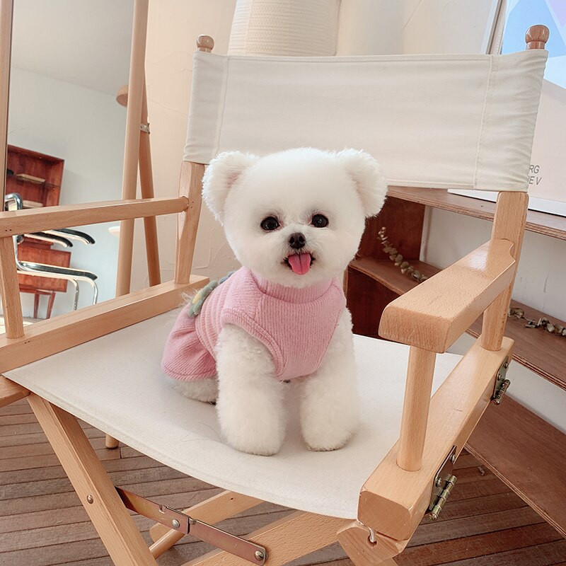 Jesenné šaty pre malých psov, mačky, čivavy, yorkshirského psa, oblečenie pre yorkshirského psa, pomeraniana, bišóna, pudla, bradáča, šteňaťa, oblečenie pre psov, kostým pre domáce zvieratá