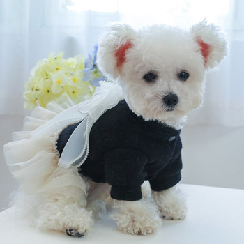 Ρούχα σκυλιών PETCIRCLE Φόρεμα με μαργαριταρένια δαντέλα με γάζα για μικρόσωμους μεσαίους σκύλους Κουτάβι γάτα Όλες τις εποχές Ρούχα για κατοικίδια Φούστα για σκύλους στολή για κατοικίδια