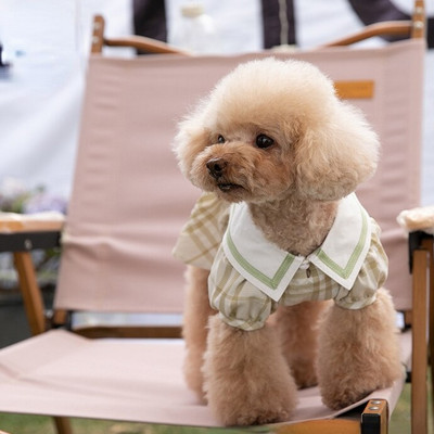 Rochie în carouri de primăvară, vară, haine pentru animale de companie, fustă pentru fete, Teddy Yorkshire, haine pentru câini, rochie pentru pisici, haine de vară pentru animale de companie, haine pentru câini