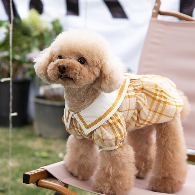 Rochie în carouri de primăvară, vară, haine pentru animale de companie, fustă pentru fete, Teddy Yorkshire, haine pentru câini, rochie pentru pisici, haine de vară pentru animale de companie, haine pentru câini