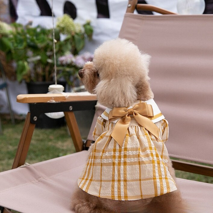 Rochie în carouri de primăvară, vară, haine pentru animale de companie, fustă pentru fete, Teddy Yorkshire, haine pentru câini, rochie pentru pisici, haine de vară pentru animale de companie, haine pentru câini