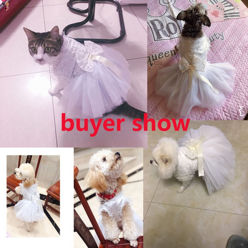 2019 m. nėriniai XS-XL naminių gyvūnėlių šuniukų šunų kačių drabužiai ravėjimo šunų suknelė mažiems vidutiniams šunims Jorkių terjerų suknelės Drabužiai Didelė peteliškė#LA