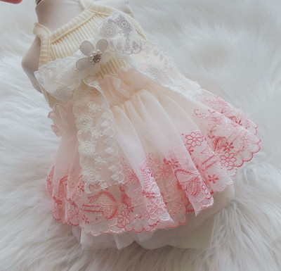 Φόρεμα Princess Dog Cat Tutu Flowers Δαντέλα Σχέδιο Pet Puppy Φούστα Ανοιξιάτικη/Καλοκαιρινή Ρούχα Ρούχα 5 μεγέθη 6 χρώματα