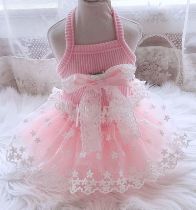 Φόρεμα Princess Dog Cat Tutu Flowers Δαντέλα Σχέδιο Pet Puppy Φούστα Ανοιξιάτικη/Καλοκαιρινή Ρούχα Ρούχα 5 μεγέθη 6 χρώματα