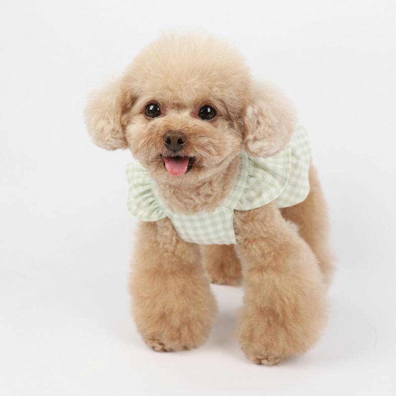 Kockovaná mašľová sukňa Oblečenie pre domáce zvieratá Oblečenie pre mačky a psy Šaty pre plyšových bišonov Sukňa pre mačky Oblečenie pre dievčatá so psami Šaty pre šteniatka Oblečenie pre dievčatá so šteniatkami