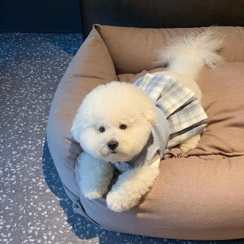 New Ins Pet Jk Uniformă Uniforma școlară Fusta în carouri Haine pentru câini Îmbrăcăminte pentru pisici Rochii pentru câini Bomei malteze pentru câini de talie mică Rochie pentru câini