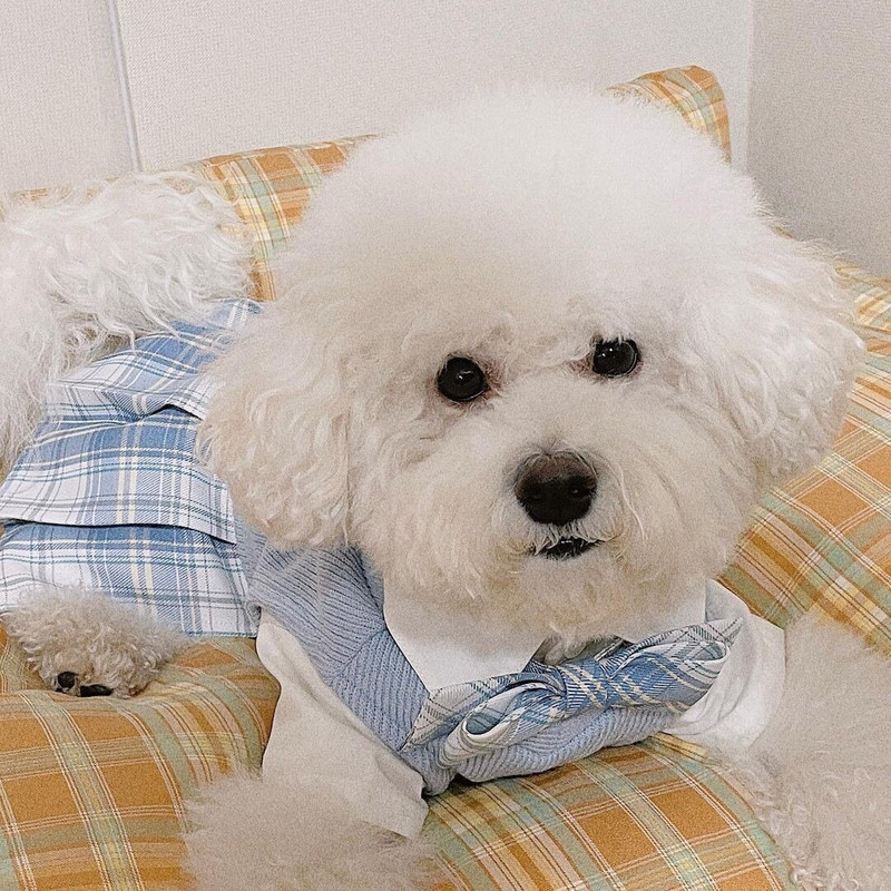 New Ins Pet Jk Uniformă Uniforma școlară Fusta în carouri Haine pentru câini Îmbrăcăminte pentru pisici Rochii pentru câini Bomei malteze pentru câini de talie mică Rochie pentru câini