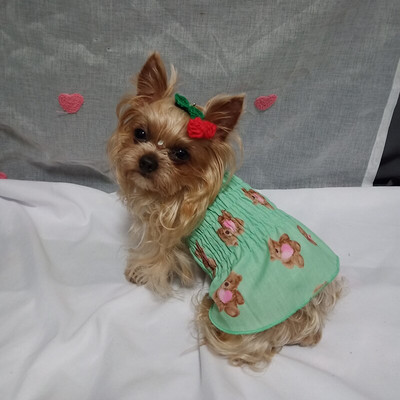 Fusta de vară drăguță pentru animale de companie Teddy Haine respirabile Îmbrăcăminte pentru câini cu imprimeu de urs din desene animate Cățeluș Fusta moale Pet SuppliesS-2XL