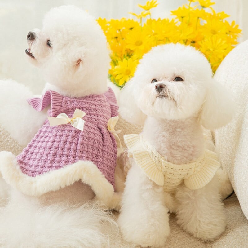 Žiemos šilti stori šunų drabužiai lankas megztinis sijonas princesės stiliaus katės gyvūnėlis meškiukas Dvikojis paltas šunų suknelės mažiems šunims