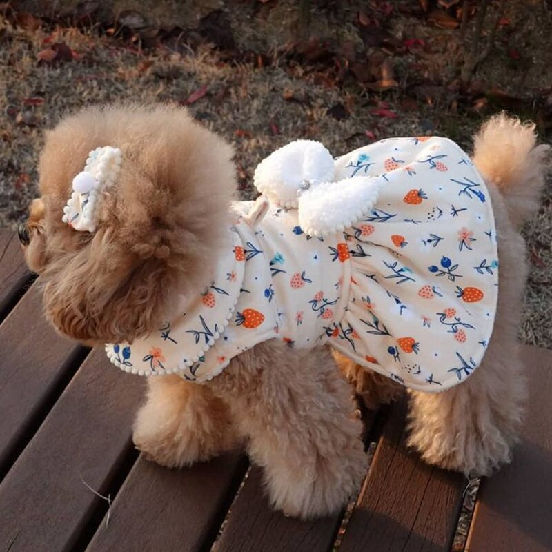 Jesenné šaty pre psov s mašľou, sukňa pre mačky, kabát pre šteniatka, kostým pre malých psov s mašľou, šaty pre psov, plyšový tkáč, yorkshirský pomeranský teriér, bišonský pudel, oblečenie