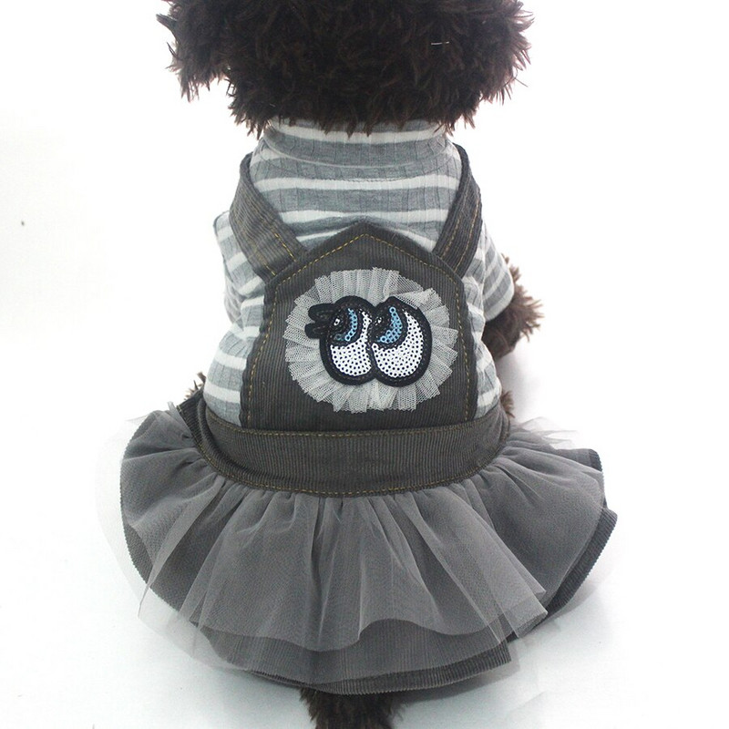 Câine, pisică, rochie din velur, cămașă cu dungi și dantelă, pisică, cățeluș, ținută de sprint/toamnă