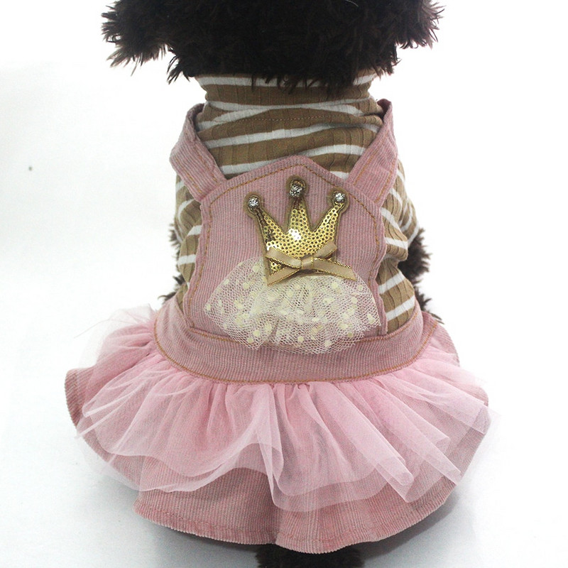 Câine, pisică, rochie din velur, cămașă cu dungi și dantelă, pisică, cățeluș, ținută de sprint/toamnă