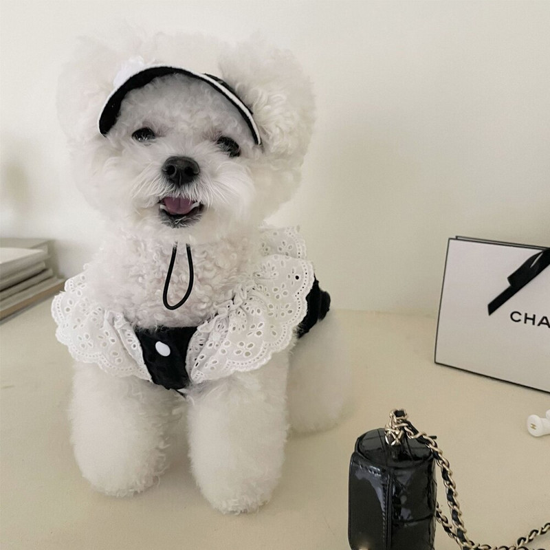 GULULU Designer kutyaruhák ruha Luxus csipkés kutyaruhák kiskutyáknak Nyári kölyökruha Kiegészítők Chihuahua Dropshipping
