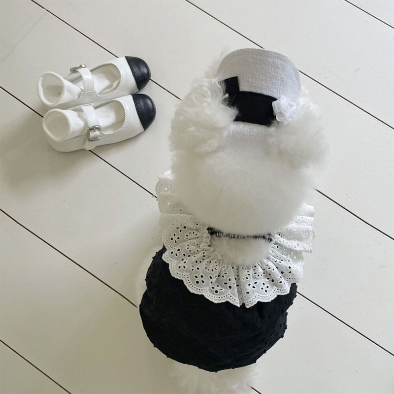 GULULU Designer kutyaruhák ruha Luxus csipkés kutyaruhák kiskutyáknak Nyári kölyökruha Kiegészítők Chihuahua Dropshipping