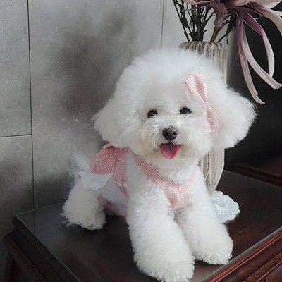 Fashion INS Designer Dog Fashion Printesa Pink Grid Papion Fusta Costum Dantela Cravata Fusta Caine Drăguț Cămașă Confortabilă Pentru Câinii De talie mică