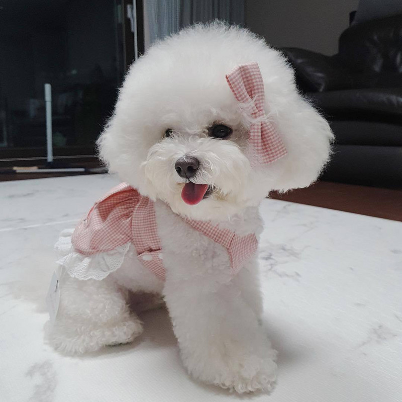 Fashion INS Designer Dog Fashion Printesa Pink Grid Papion Fusta Costum Dantela Cravata Fusta Caine Drăguț Cămașă Confortabilă Pentru Câinii De talie mică