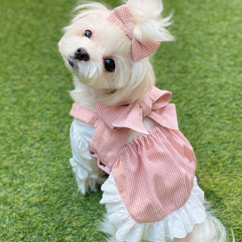 Fashion INS Designer Dog Fashion Printesa Pink Grid Papion Fusta Costum Dantela Cravata Fusta Caine Drăguț Cămașă Confortabilă Pentru Câinii De talie mică