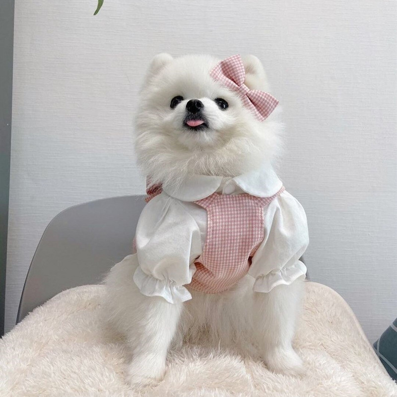 Fashion INS Designer Dog Fashion Printesa Pink Grid Papion Fusta Costum Dantela Cravata Fusta Caine Drăguț Cămașă Confortabilă Pentru Câinii De talie mică