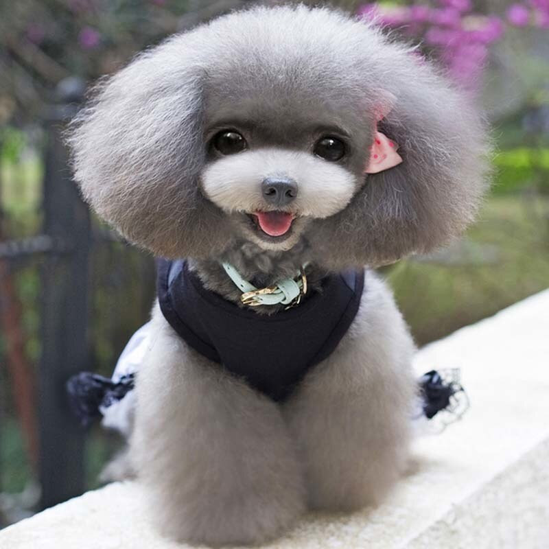 Rochii pentru câini cu diamante alb-negru Haine de vară pentru câini mici Ropa Perro Chihuahua Fusta din tul Rochie drăguță pentru cățeluș Haine Yorkshire pentru animale de companie