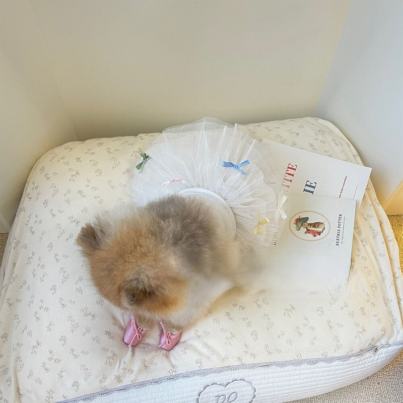 Ins Bow Balerina szoknya nadrágtartók Tavaszi és Nyári Kisállat Macska Kutya Lány Aranyos Tutu Szoknya Máltai Bichon Kis kutyaruha Pet Tutu