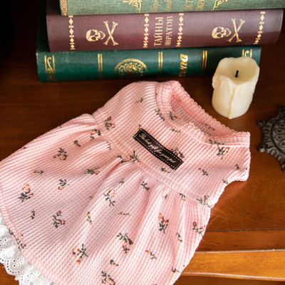 Haine de toamnă și iarnă pentru animale de companie Brodat urs Waffle Vestă de acasă Câine Pisică Rochie de Crăciun de Anul Nou Rochii pentru câini Haine pentru câini