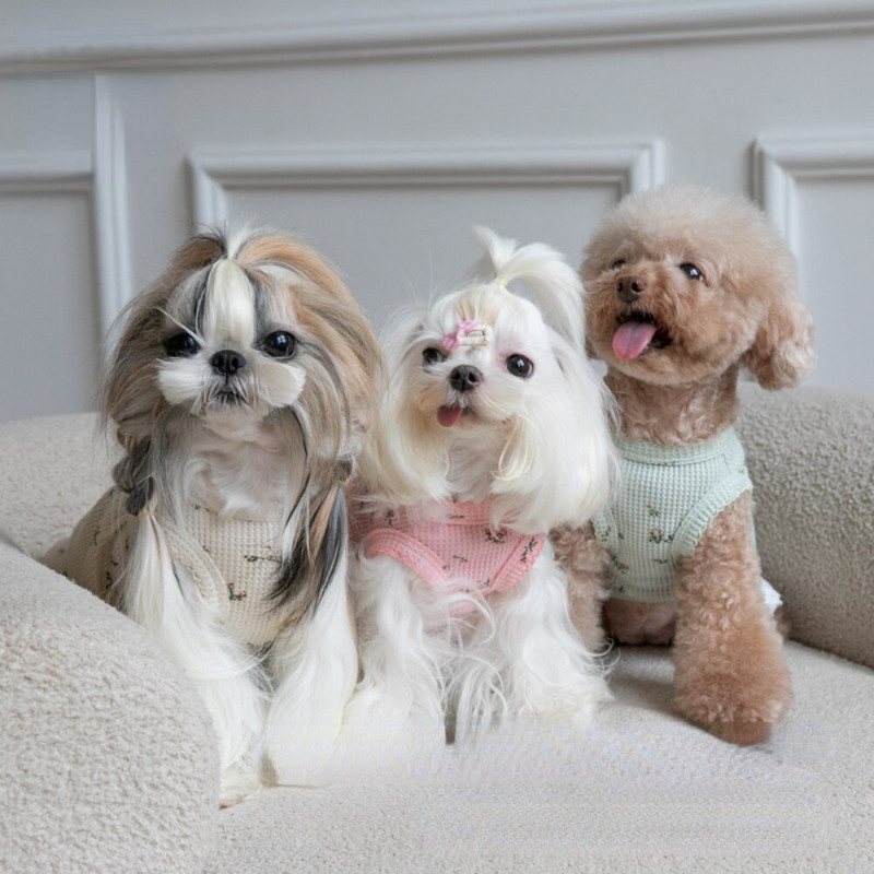 Haine de toamnă și iarnă pentru animale de companie Brodat urs Waffle Vestă de acasă Câine Pisică Rochie de Crăciun de Anul Nou Rochii pentru câini Haine pentru câini