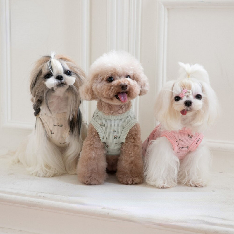 Haine de toamnă și iarnă pentru animale de companie Brodat urs Waffle Vestă de acasă Câine Pisică Rochie de Crăciun de Anul Nou Rochii pentru câini Haine pentru câini