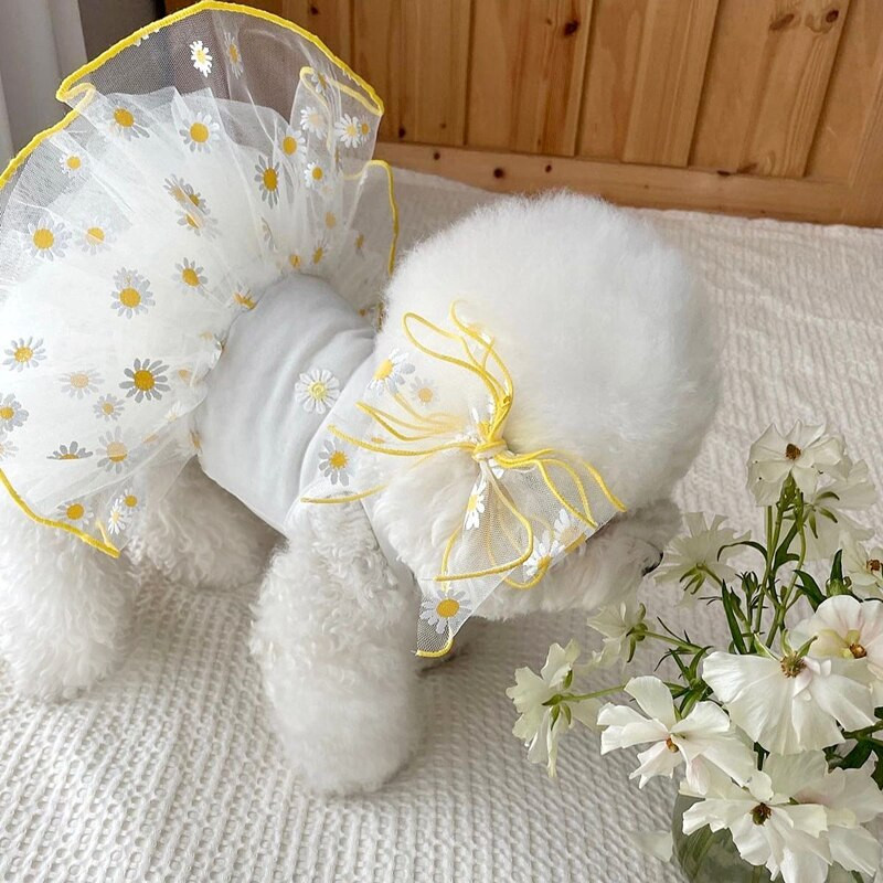 Rózsaszín epres kutyaruhák maci nyári ruhák hálós kölyök szoknyák pomerániai ruhák menő pulóverek kisállatruhák