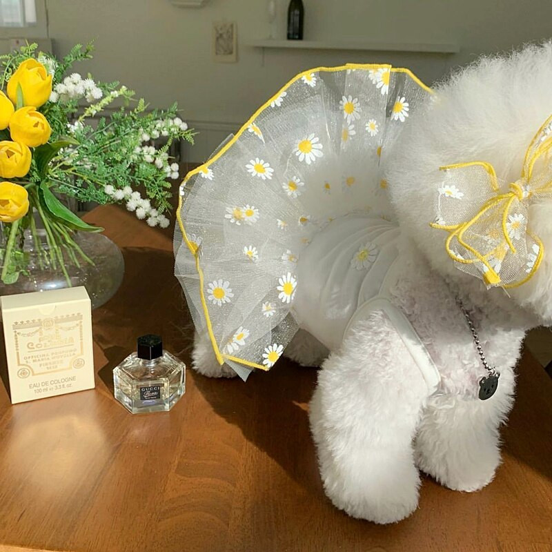 Rózsaszín epres kutyaruhák maci nyári ruhák hálós kölyök szoknyák pomerániai ruhák menő pulóverek kisállatruhák