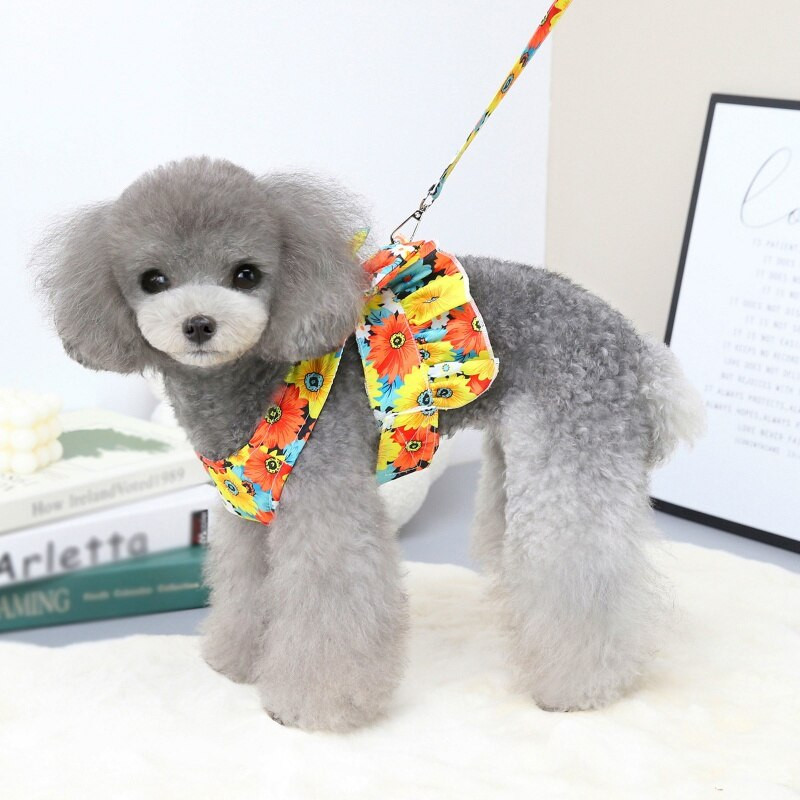 Set rochie pentru câine cu lesă Floral Teddy Bichon Harnaș câine fustă vestă primăvară vară rochie pisică plimbări plumb Îmbrăcăminte pentru animale de companie