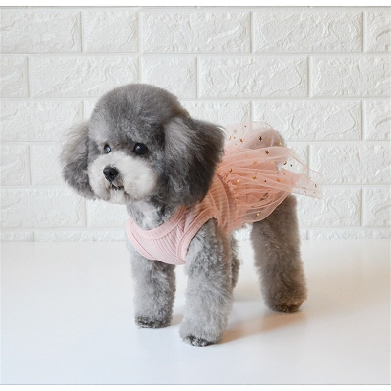 Klasična haljina za pse za kućne ljubimce, ružičasto-bijele čipkaste haljine, princeza za male štence, mačke, čivava, pudla, zvijezda, haljine za zabave, pas