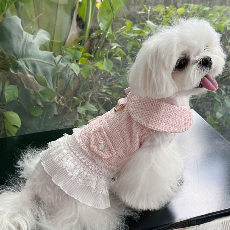 Jesenné a zimné plyšové šaty, krásne čipkované dámske šaty pre mačky, malé psy, trakčné gombíky, hrubý teplý kabát, oblečenie pre psov pre malých psov