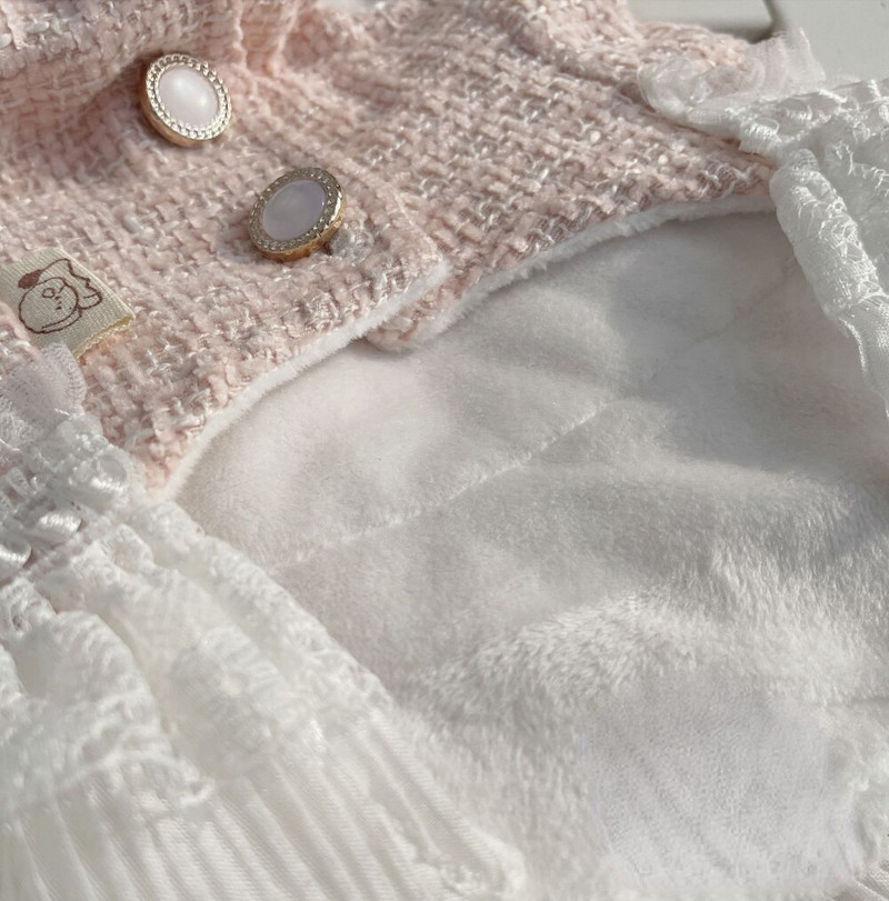 Jesenné a zimné plyšové šaty, krásne čipkované dámske šaty pre mačky, malé psy, trakčné gombíky, hrubý teplý kabát, oblečenie pre psov pre malých psov