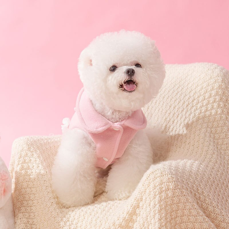 Oblečenie pre domáce zvieratá, jeseň/zima, stredne veľké, malé, pre psov a mačky, princeznovské šaty, sladký vlnený kabát, ružový postroj, mačiatko, šteniatko, vesta, roztomilá sukňa