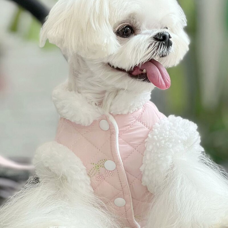 Talvine koerakleit Kass Kutsikas Koer Rihm Plii Yorkshire Pomeranian Shih Tzu Malta Bichon Puudel Soojad koerarõivad Lemmiklooma mantlid Riided