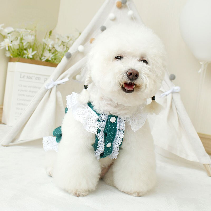 Jarné letné oblečenie pre mačky a psy, tenká sukňa, malé stredne veľké psy, zelená bodkovaná sukňa s ramienkami, princeznovský štýl, oblečenie pre domáce zvieratá, mačky