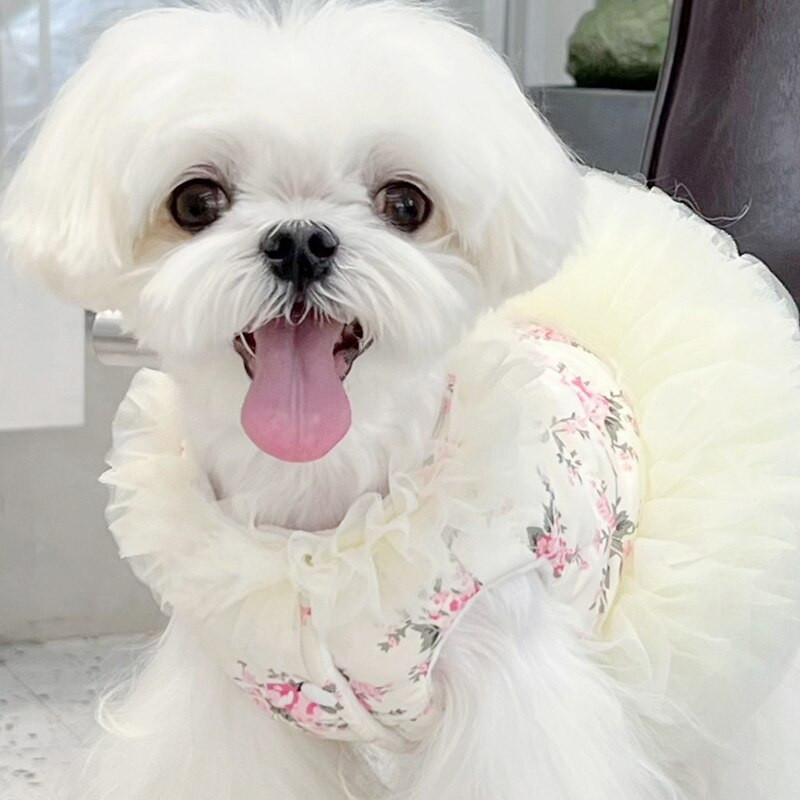 Teplé zimné šaty pre psov, oblečenie pre mačky, šteniatka, kostýmy pre malých psov, Yorkshirský teriér, Pomeranian, Shih Tzu, pudel, Bichon, oblečenie pre domáce zvieratá