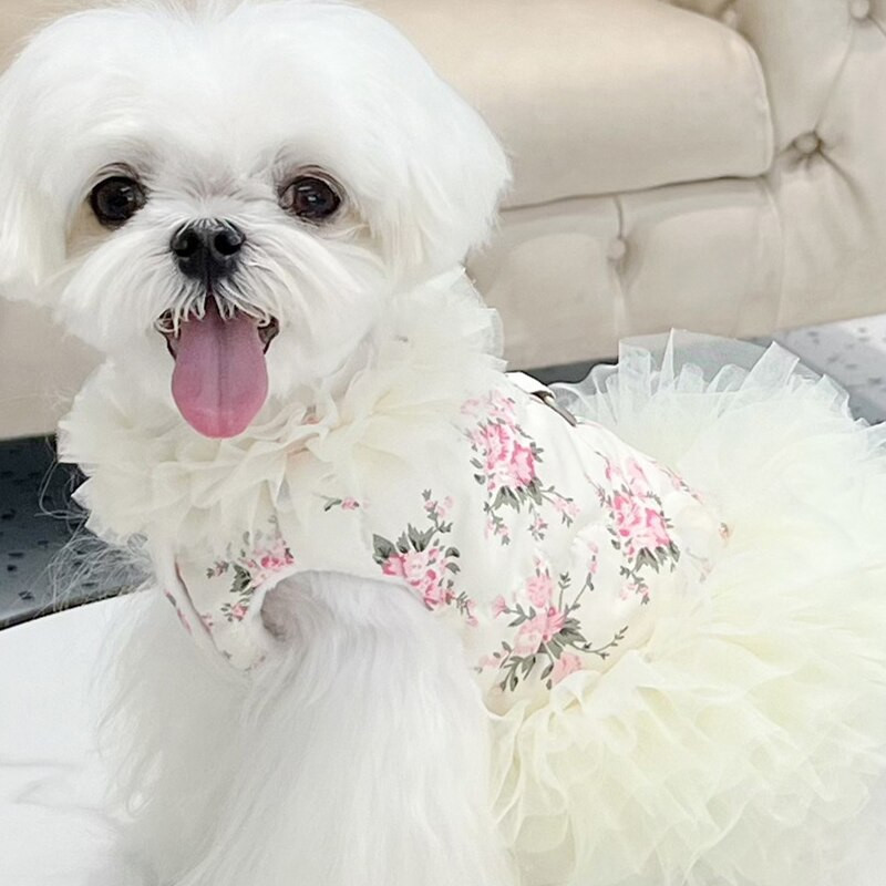 Teplé zimné šaty pre psov, oblečenie pre mačky, šteniatka, kostýmy pre malých psov, Yorkshirský teriér, Pomeranian, Shih Tzu, pudel, Bichon, oblečenie pre domáce zvieratá