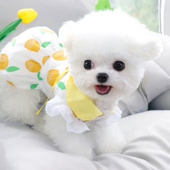 Μόδα Λεμόνι Ρούχα για σκύλους Καλοκαιρινό Λεπτό Φόρεμα Πριγκίπισσας Ρούχα Φρούτα για Κατοικίδια VIP Ανοιχτό πουκάμισο Bichon Δώρα γενεθλίων για κουτάβι Φόρεμα