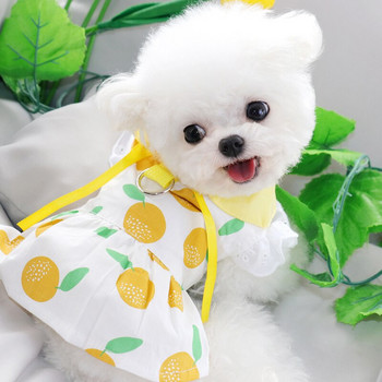 Μόδα Λεμόνι Ρούχα για σκύλους Καλοκαιρινό Λεπτό Φόρεμα Πριγκίπισσας Ρούχα Φρούτα για Κατοικίδια VIP Ανοιχτό πουκάμισο Bichon Δώρα γενεθλίων για κουτάβι Φόρεμα